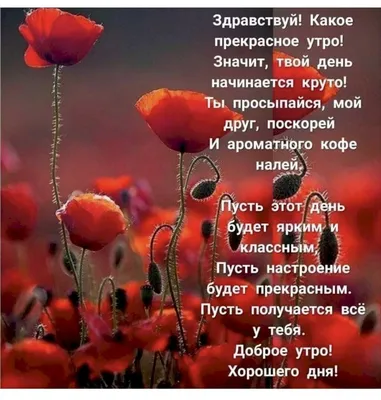 ПРИВЕТСТВИЯ и ПОЖЕЛАНИЯ, открытки на каждый день., №2149621982 | Фотострана  – cайт знакомств, развлечений и игр