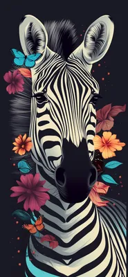 Animal Zebra HD Wallpaper