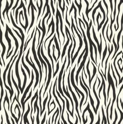 Zebra Wallpaper Paper Print - Nature posters in India - Buy art, film,  design, movie, music, nature and educational paintings/wallpapers at  Flipkart.com