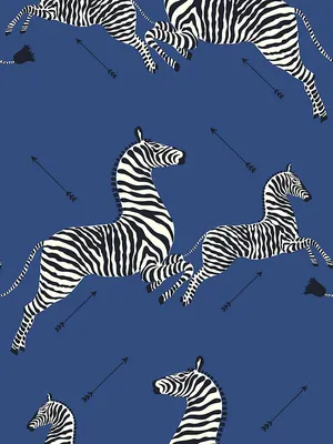 Scalamandre Zebras - Wallpaper Denim Wallpaper | DecoratorsBest