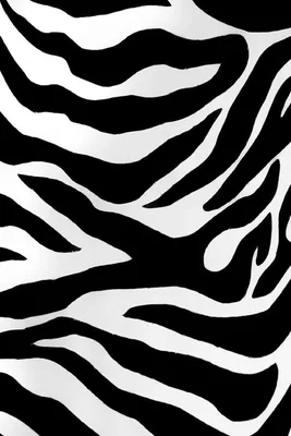 Zebra Dream - Quiet – The Detroit Wallpaper Co.