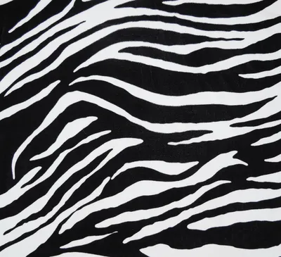 Zebra Palm - Jungle Wallpapers | Schumacher