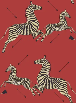 Scalamandre SCS3869 Masai Zebra Safari Self Adhesive Wallpaper, Red -  Amazon.com