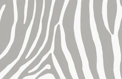 Light Grey Metallic Zebra Lines Animal Print Wallpaper R7695 – Walls  Republic US