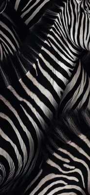 Zebra Pattern Wallpapers - Zebra Aesthetic Wallpapers for iPhone