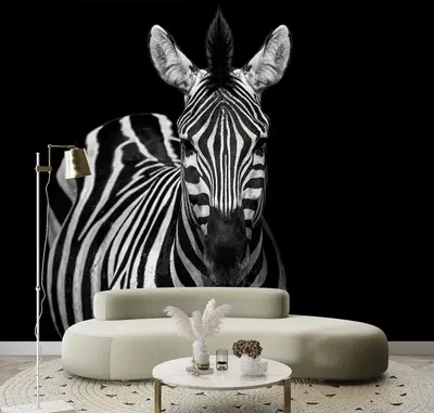 Zebras Wallpaper Orange Wallpaper SC0012WP81388M by Scalamandre Wallpaper