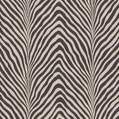 Bing HD Wallpaper Jan 31, 2023: Burchells zebras for International Zebra  Day - Bing Wallpaper Gallery