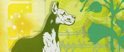 Зеленая собака (59 фото) - картинки sobakovod.club