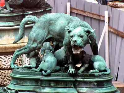 Зелёная Собака | Бар Москва