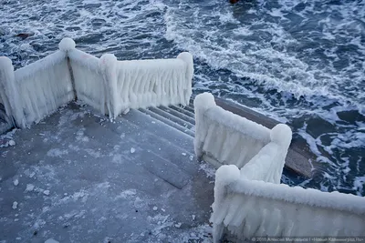 Зеленоградск. Февраль. Балтийское море во льду. Делюсь фотографиями | Пора  путешествий | Дзен