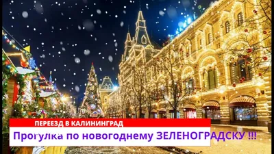 Зеленоградск украсили к Новому году. И если вы там ещё не были, срочно  смотрите наш фоторепортаж (фото) - Праздники - Афиша Калининграда - Новый  Калининград.Ru