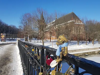 Экскурсия Куршская коса без толпы, Зеленоградск, Нессельбек и Танцующий лес  в Калининграде - цена 1287 ₽