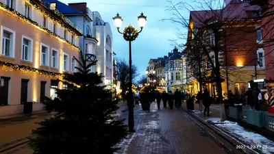 Выходные в Зеленоградске зимой. Программа на один день!