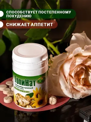 Роза Фокус Покус - купить саженцы роз. Каталог роз 2024