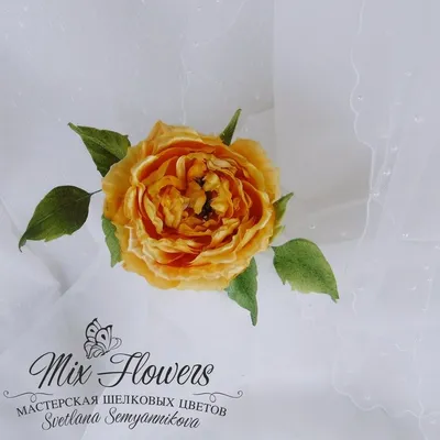 Ривьера: обетованная земляная бижутерия Rose Font, роза, цветы, украшения  для тела, небеса dept png | Klipartz