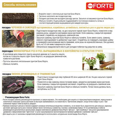 Купить 5 цветов, красота, макияж, ленивый закваска, земляной цвет, лоток  для теней для век, пустынная роза, персиковый цвет, лоток для теней для век  | Joom