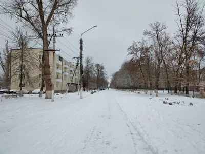 Город на память». 707. Зеленоград – округ Москвы на удалёнке - Русский  блоггер