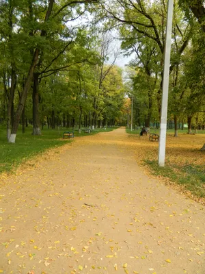 Зерноград (станция) — Википедия