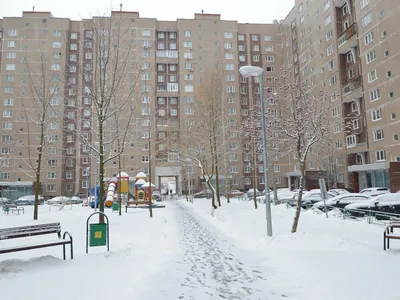 Город Зерноград, настоящее реалистичное…» — создано в Шедевруме