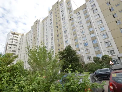 Город Зеленоград, зелёный город» — создано в Шедевруме