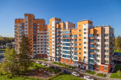 Зеленоград - Жизнь - Серебристые облака и туман в одну ночь превратили  Зеленоград в сказочный город. Красивые фотографии и видео