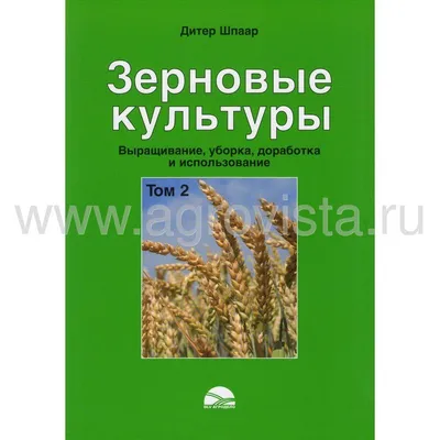 Основные зерновые культуры | Дагестанская жизнь