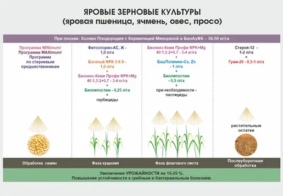 Зерновые культуры: Выращивание, уборка, доработка и использование (Russian  Edition): Шпаар, Дитер: 9785519032292: Amazon.com: Books