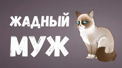 Деньги и отношения. ЖАДНЫЙ мужчина – что от него ждать поможет понять  мужская психология - YouTube