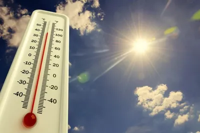 До +48: Как Европа переживает экстремально жаркое лето - Delfi RU