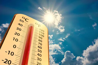 Жаркое лето: планета раньше срока подошла к очередному температурному  рекорду