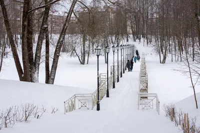 Ждем весну фото фотографии