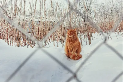 1 марта: ждем весну и туристов!