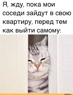 Жду ответа.