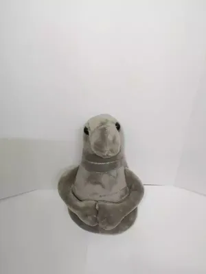 Ждун Дзен