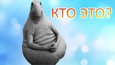 Ждун / смешные картинки и другие приколы: комиксы, гиф анимация, видео,  лучший интеллектуальный юмор.