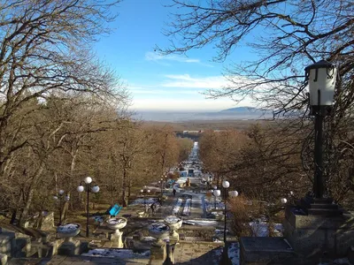 В январе 2023 года Железноводск посетили более 10 тысяч туристов - АТВмедиа
