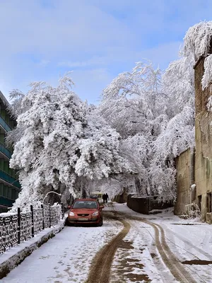Железноводск зимой - фото и картинки: 70 штук