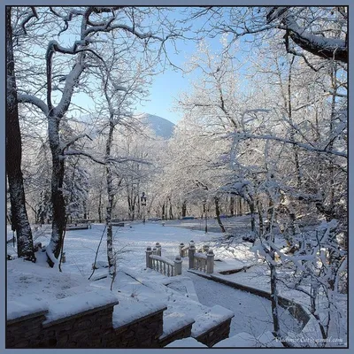 Железноводск зимой (большое количество фото) - treepics.ru