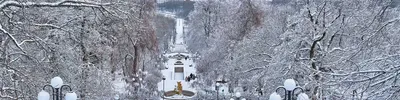 Каскадная лестница Железноводск :: Мария Климова – Социальная сеть ФотоКто