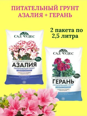 Искусственный цветок Герань ампельная крем 65 см — цена в Волгодонске,  купить в интернет-магазине, характеристики и отзывы, фото