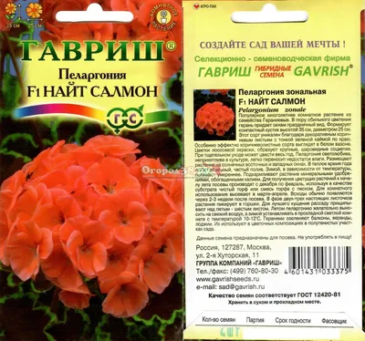 Герань (пеларгония садовая) (Pelargonium x hortorum)