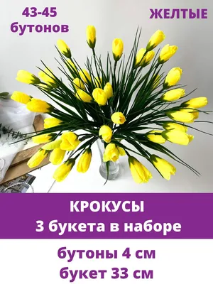 Желтые крокусы скачать фото обои для рабочего стола (картинка 1 из 2)