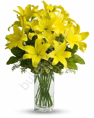 9 желтых лилий в букете за 8 390 руб. | Бесплатная доставка цветов по Москве