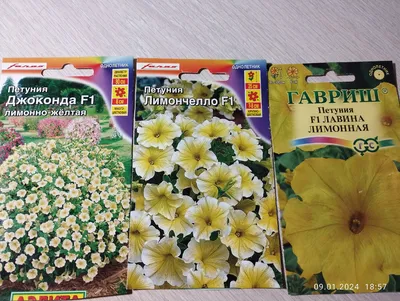 Петуния Лавина F1 желтая крупноцветковая ампельная 10шт, семена | Купить в  интернет магазине Аэлита