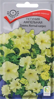 Пижма искусственная, декоративная, цвет Желтый, искусственные цветы для  декора, 30 см, набор 2 букета – купить в Казани | «С Нежностью»