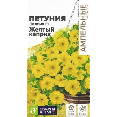 Петуния мультифлора Мамбо F1 лимонно-желтая - купить семена цветов с  доставкой по Украине в магазине Добродар