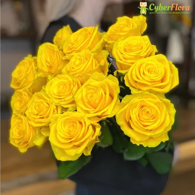 Желтые розы | GiftGarden - Купить цветы, подарки и многое другое - товары  высшего качества