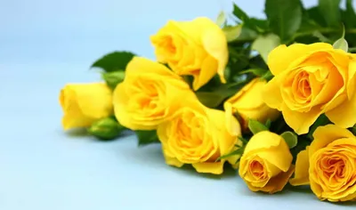 Букет из желтых роз - заказать доставку цветов в Москве от Leto Flowers