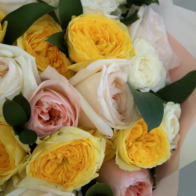 Букет из 51 розы \"Желтые розы\", артикул: 200273 в интернет магазине  EnjoyFlowers.ru ❀ с доставкой по Москве