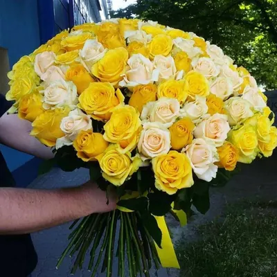 Купить Желтые розы | Flowers story